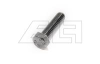 HEXAGON HEAD SCREW