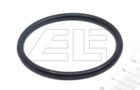 O-ring