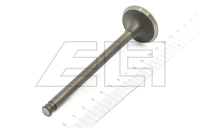 Exhaust valve