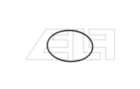 O-ring