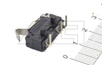 microswitch