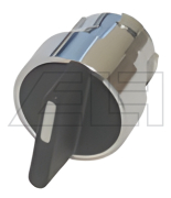 Rotary switch