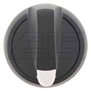 Rotary switch