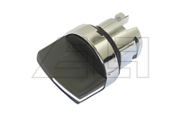 Rotary switch