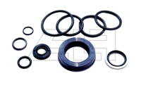 Gasket set Pramac Lifter GS (von 04/03)