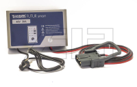 Charger HF 48V/30A