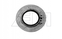 Plate carburetor