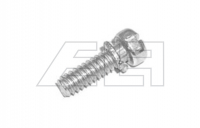 Screw