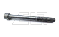 socket head screw