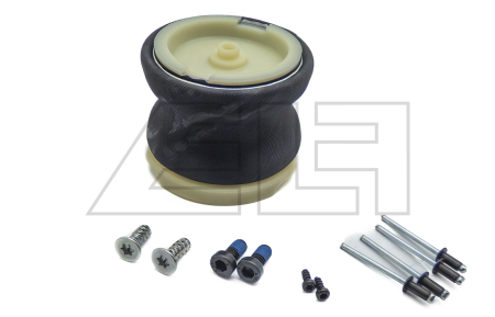 Federelement - 11E124553