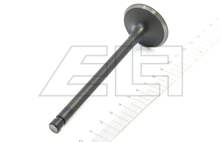 Inlet valve - 195674
