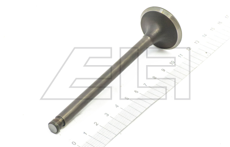 Exhaust valve - 195678