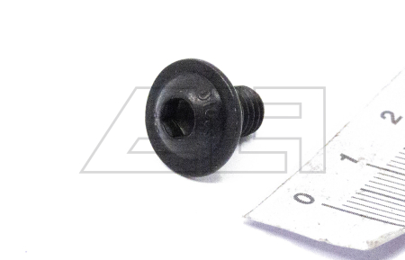 button head screw - 198843