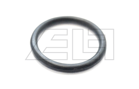 O-ring - 202842