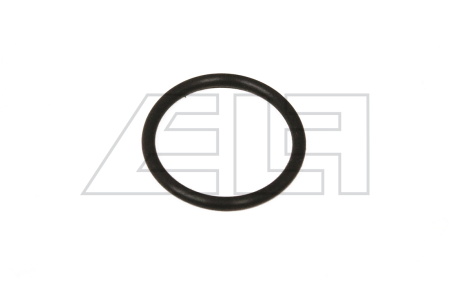 O-ring - 202881