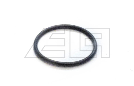 O-ring - 202893