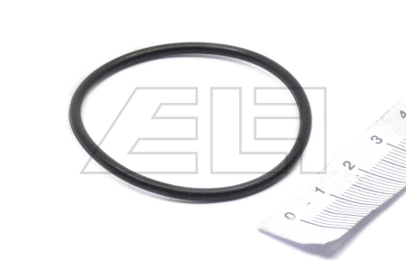 O-RING - 202929