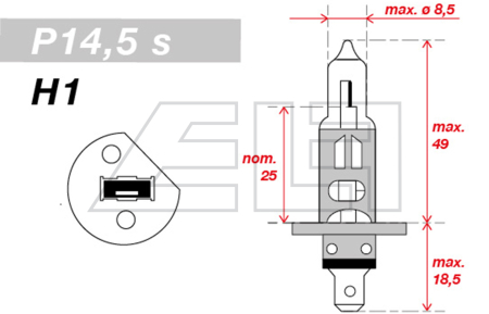 H1 Light bulb 24V 70W - 216579