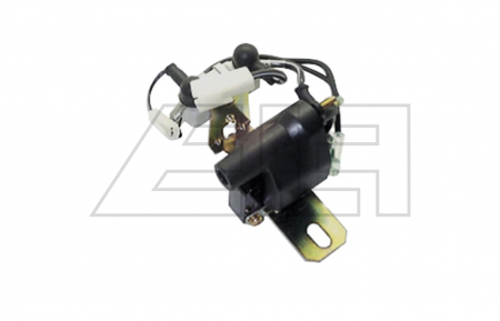 Ignition Coils - 216758