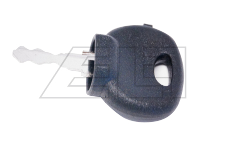 Ignition key - 216835