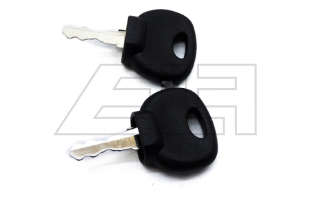 Ignition key - 216836
