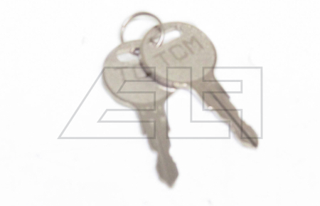 Ignition key - 216848
