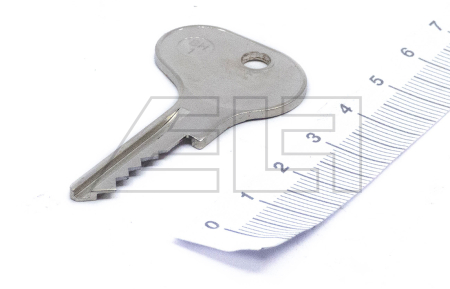 Ignition key - 216977