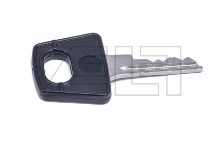 Ignition key - 217008