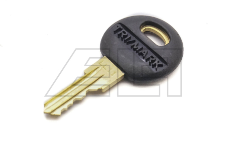 Ignition key - 217018