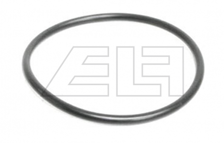 O-Ring - 22642