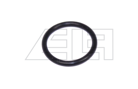 O-Ring - 237797