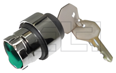 Key switch (without key) - 24430493