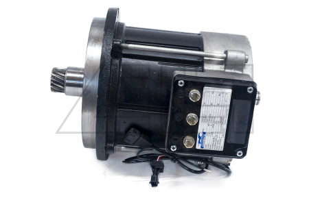 Traction motor - 254474