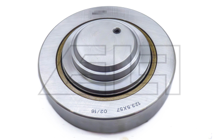 Mast bearing - 294873