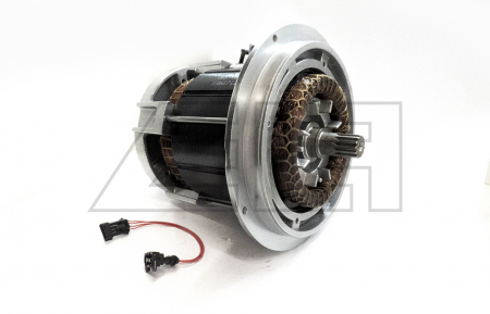 Traction motor - 29732