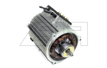 Traction motor - 33275