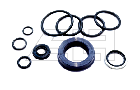 Gasket set Pramac Lifter GS (von 04/03) - 363612