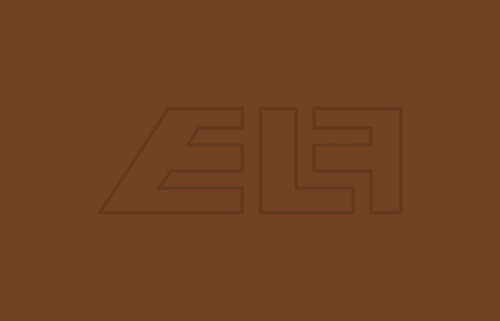 Color spray Ral 8003 clay brown - 457271