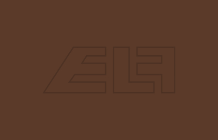 Color spray Ral 8011 Nut brown - 457275