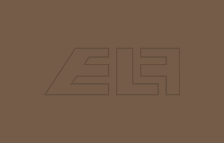 Color spray Ral 8025 Pale brown - 457285