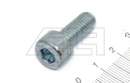 Zylinderschraube - 554484