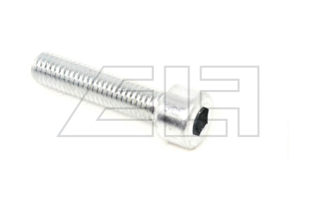 Zylinderschraube - 554521