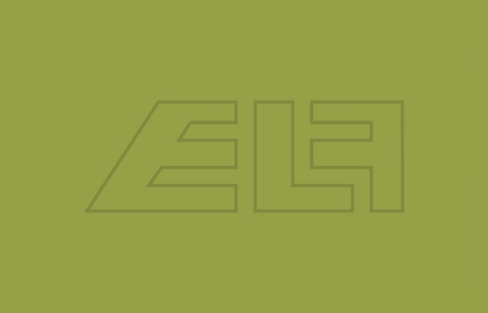 Color 2,5L - yellow/green - 5897