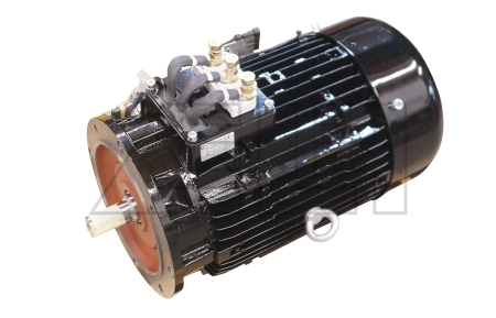 Traction motor - 831109