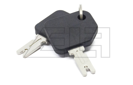 SCHLÜSSEL FÜR SCHLOSS - ELF106714