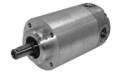 Hydraulic motor