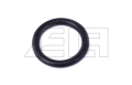 O-RING - 202818