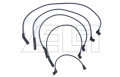 Ignition Wire