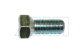 Wheel bolt