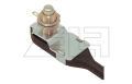 Microswitch